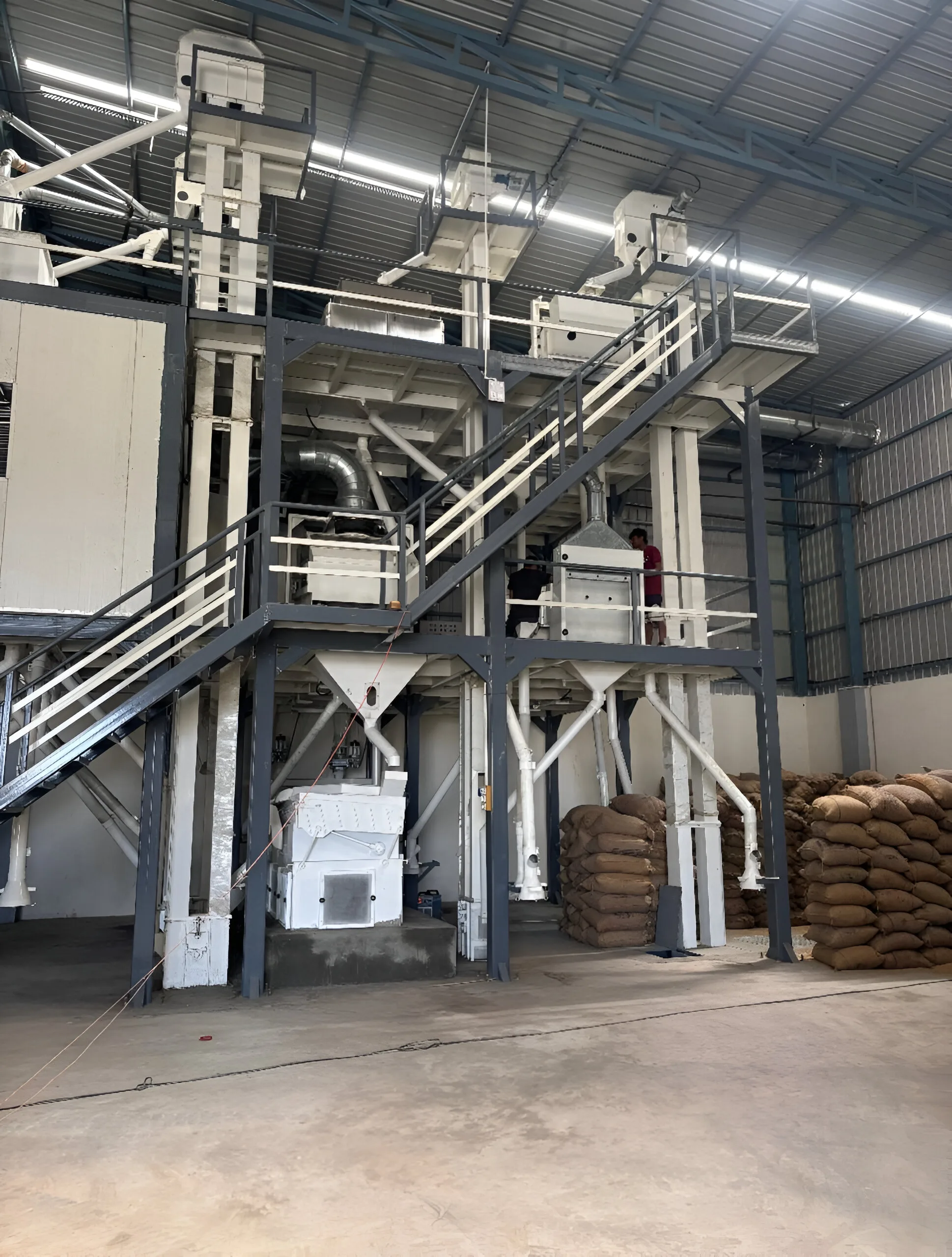 Cleaning and handling processing plants on turnkey basis
